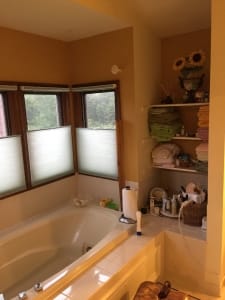 Centreville, VA, master bath remodeling, bathtub area, before photo2