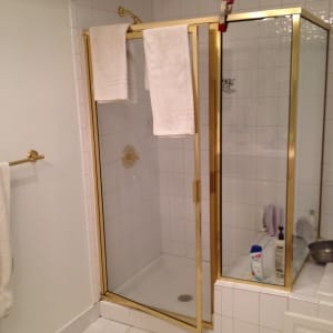 master bath remodel, Great Falls, VA, gold shower, before photo 1