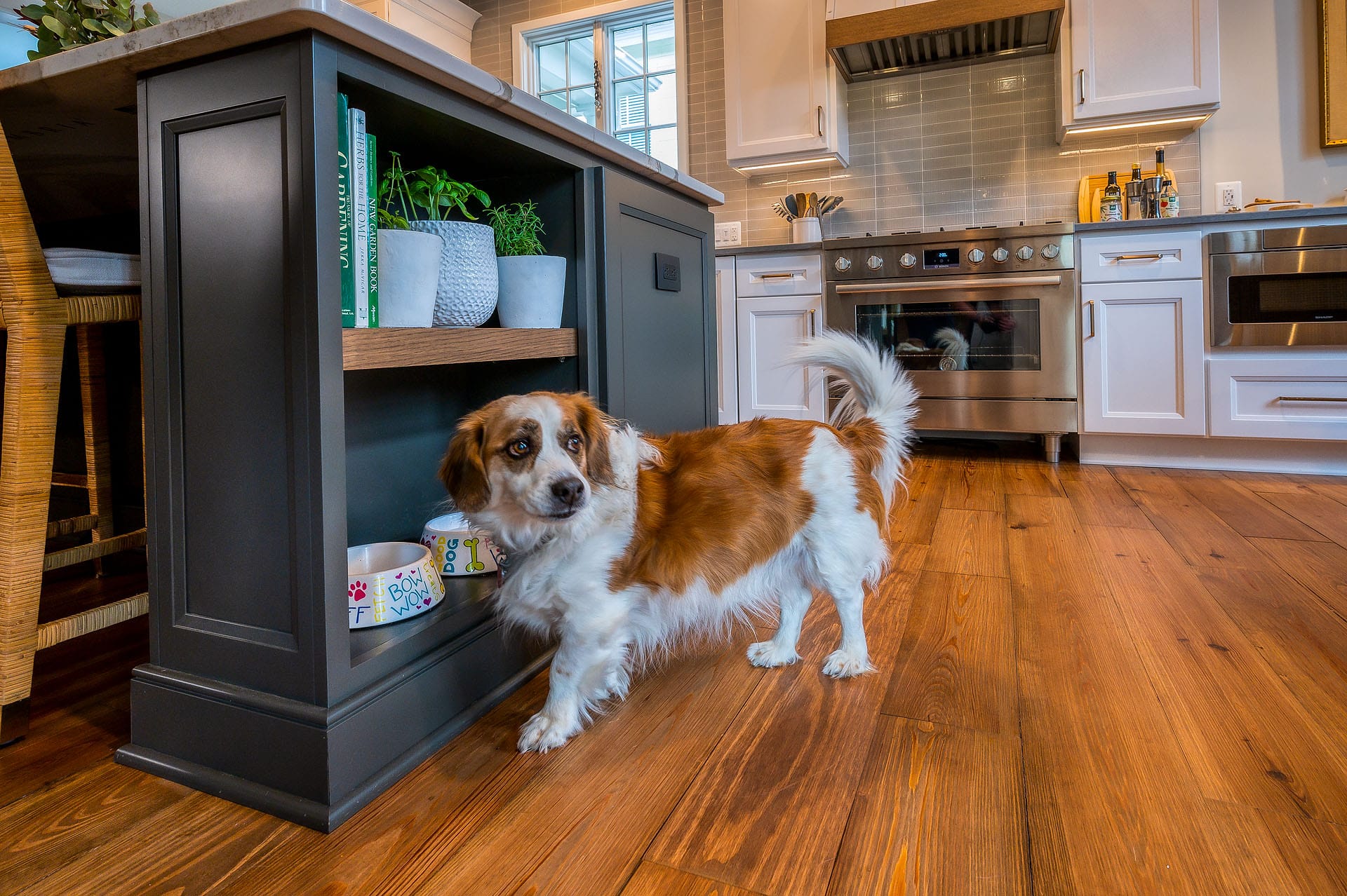 Alexandria, VA custom kitchen remodel with Crystal Keyline custom island cabinets and pet feeding station.